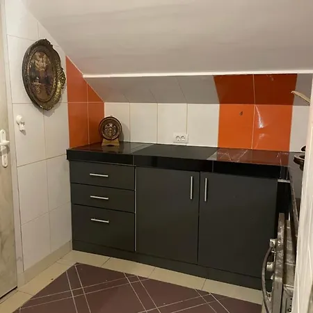 Zvezdana Noc Bělehrad