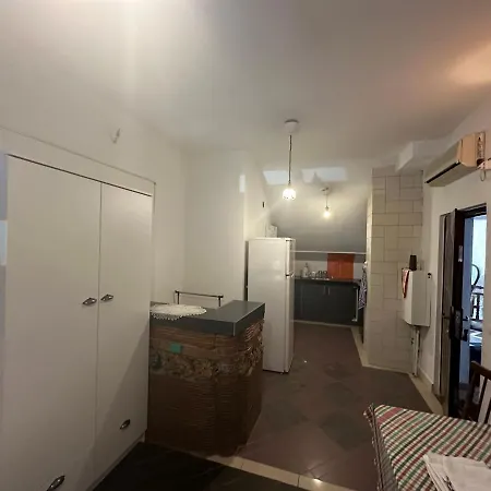 Apartmán Zvezdana Noc Bělehrad