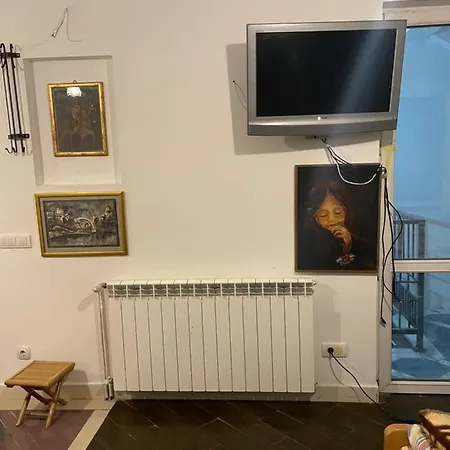 Zvezdana Noc *