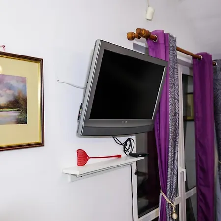 Zvezdana Noc * Bělehrad