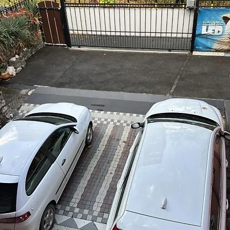 Zvezdana Noc *