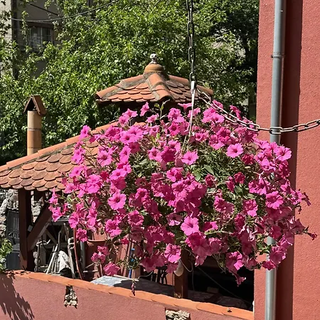 Apartament Zvezdana Noc Belgrad