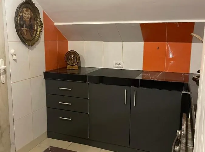 Zvezdana Noc Βελιγράδι