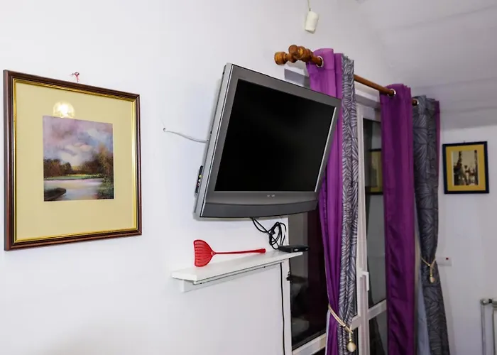 Zvezdana Noc * بلغراد