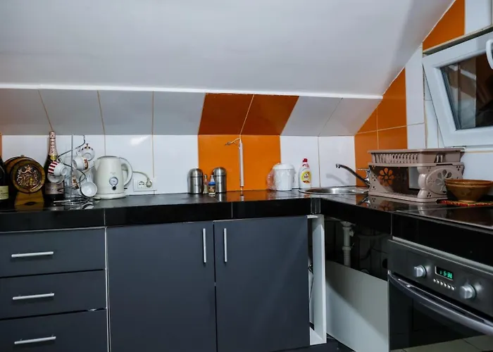 Zvezdana Noc * بلغراد