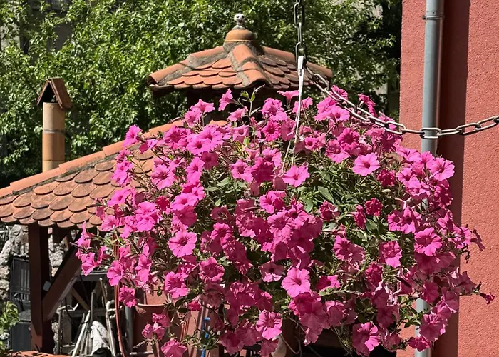 Διαμέρισμα Zvezdana Noc Βελιγράδι